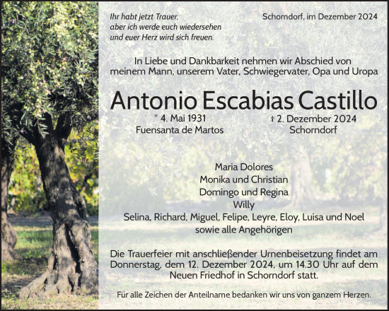 Traueranzeige von Antonio Escabias Castillo von Waiblinger Kreiszeitung