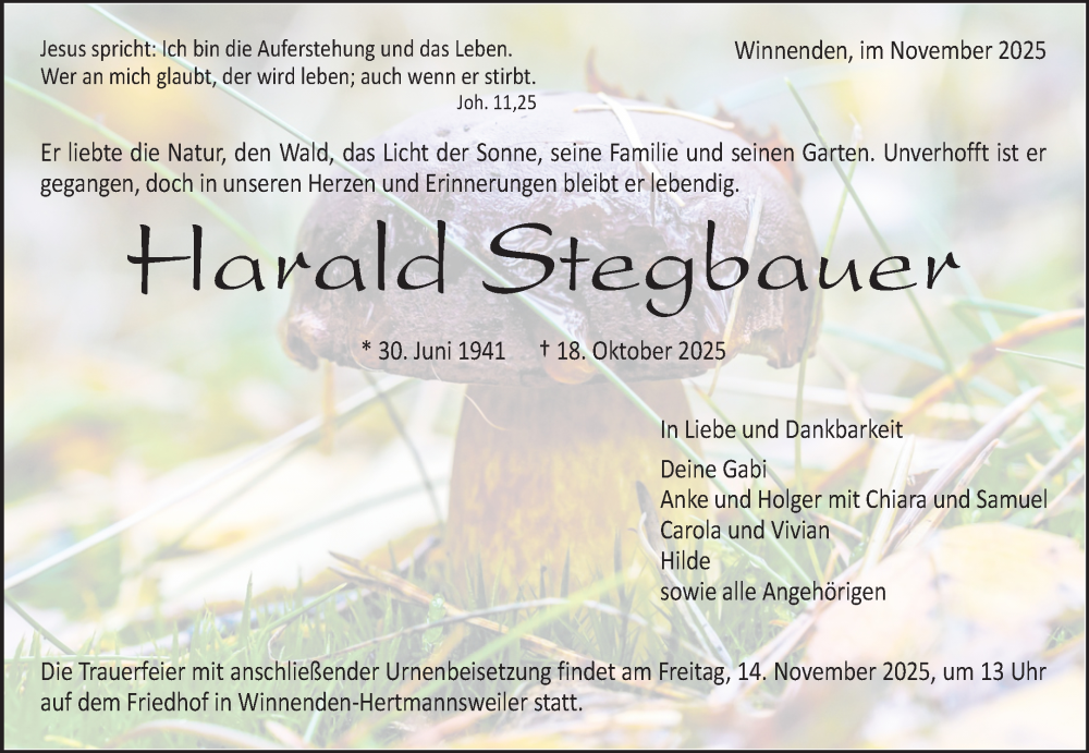  Traueranzeige für Harald Stegbauer vom 08.11.2025 aus Waiblinger Kreiszeitung