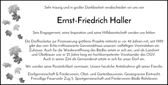 Traueranzeige von Ernst-Friedrich Haller von Waiblinger Kreiszeitung
