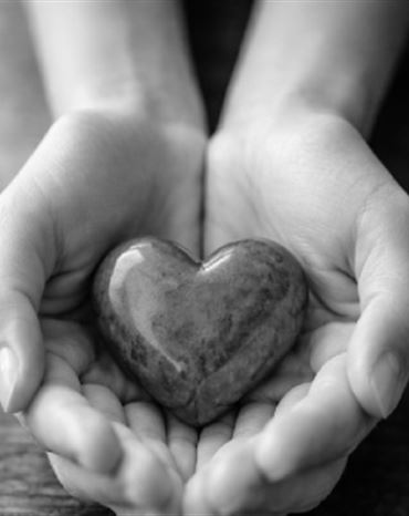 Profilbild Heinrich Plott